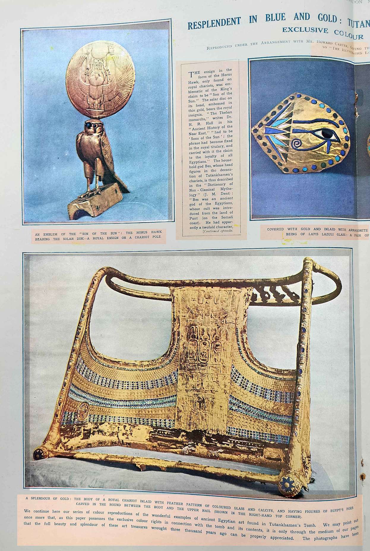 blue and gold 1